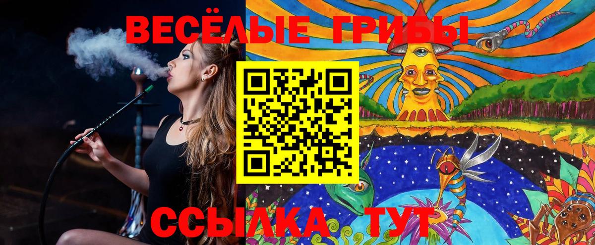 цены   Галлюциногенные грибы Psilocybine cubensis  Вход с VPN  Архангельск 